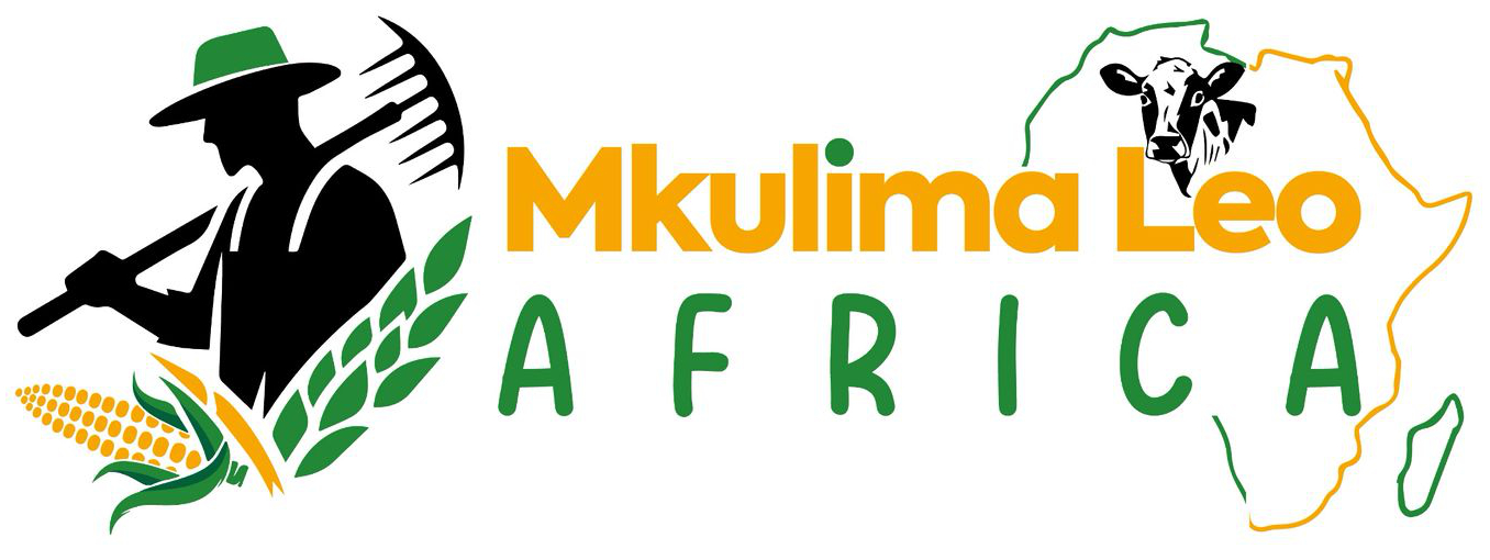 Mkulima Leo Africa logo